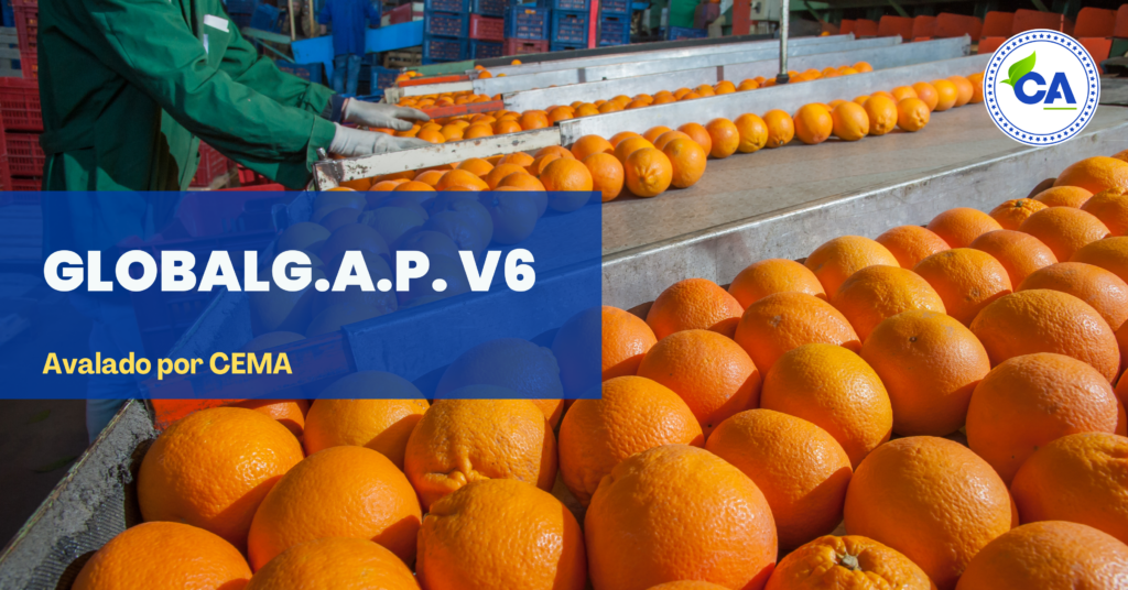 curso en linea globalg.a.p.